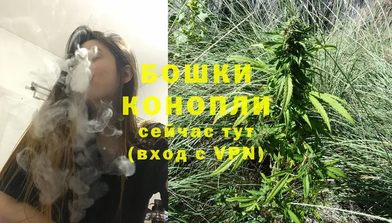 Шишки марихуана SATIVA & INDICA  кракен вход  Верещагино  где найти наркотики 